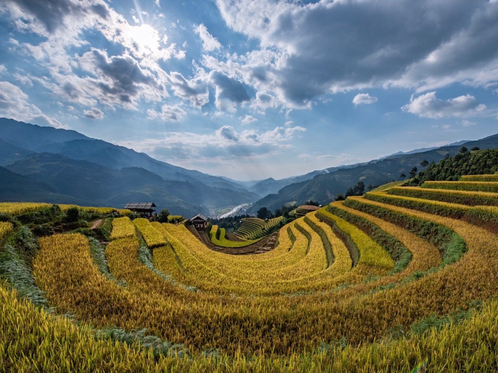 Đồi Móng Ngựa, điểm chụp lúa chín thu hút nhiếp ảnh gia ở Mù Cang Chải - Ảnh 1. Đồi Móng Ngựa, điểm chụp lúa chín thu hút nhiếp ảnh gia ở Mù Cang Chải - Ảnh 1.