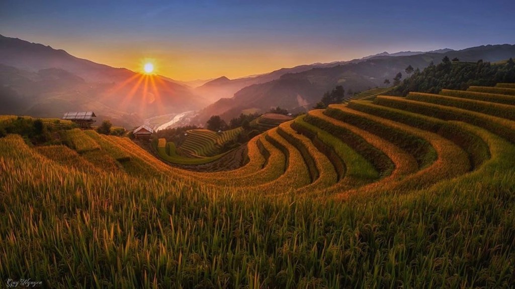 Đồi Móng Ngựa, điểm chụp lúa chín thu hút nhiếp ảnh gia ở Mù Cang Chải - Ảnh 6. Đồi Móng Ngựa, điểm chụp lúa chín thu hút nhiếp ảnh gia ở Mù Cang Chải - Ảnh 6.