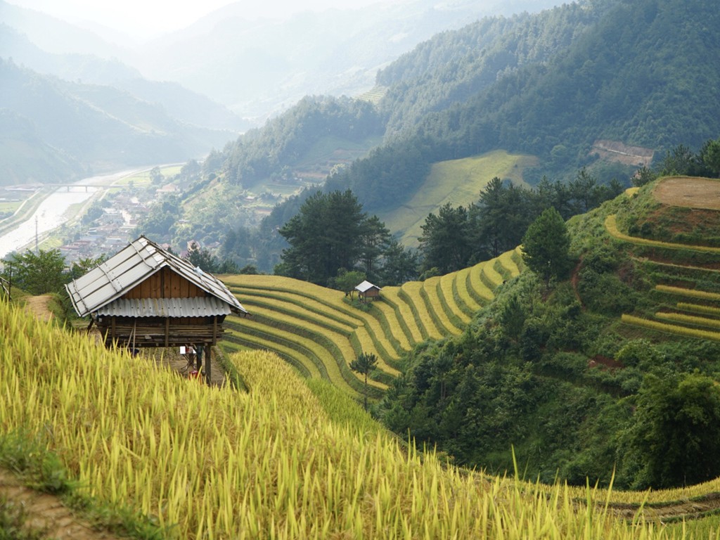 Doi Mong Ngua, diem chup lua chin thu hut nhiep anh gia o Mu Cang Chai hinh anh 4 Doi Mong Ngua, diem chup lua chin thu hut nhiep anh gia o Mu Cang Chai hinh anh 4