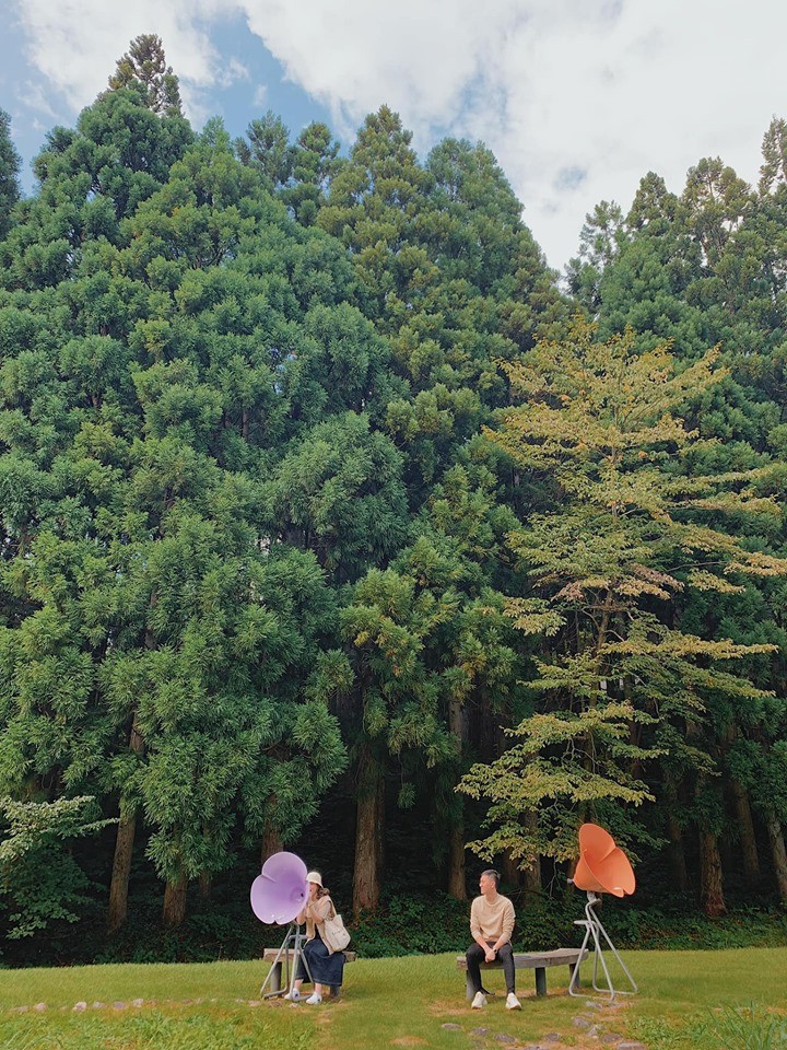 Mua thu, sang Nhat tan huong su trong lanh o nui thanh noi tieng hinh anh 5 Mua thu, sang Nhat tan huong su trong lanh o nui thanh noi tieng hinh anh 5