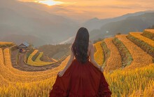 Đồi Móng Ngựa, điểm chụp lúa chín thu hút nhiếp ảnh gia ở Mù Cang Chải