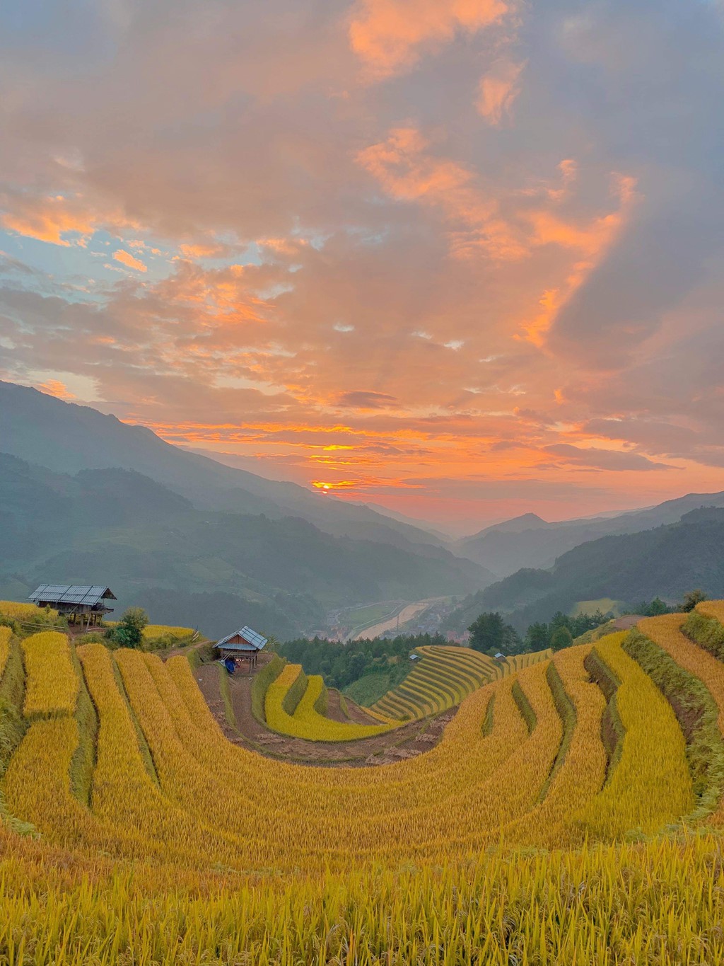 Doi Mong Ngua, diem chup lua chin thu hut nhiep anh gia o Mu Cang Chai hinh anh 7 Doi Mong Ngua, diem chup lua chin thu hut nhiep anh gia o Mu Cang Chai hinh anh 7