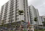 Dự án 20 ha của CCI bị đề nghị thu hồi vì chậm triển khai - Ảnh 3. Dự án 20 ha của CCI bị đề nghị thu hồi vì chậm triển khai - Ảnh 3.