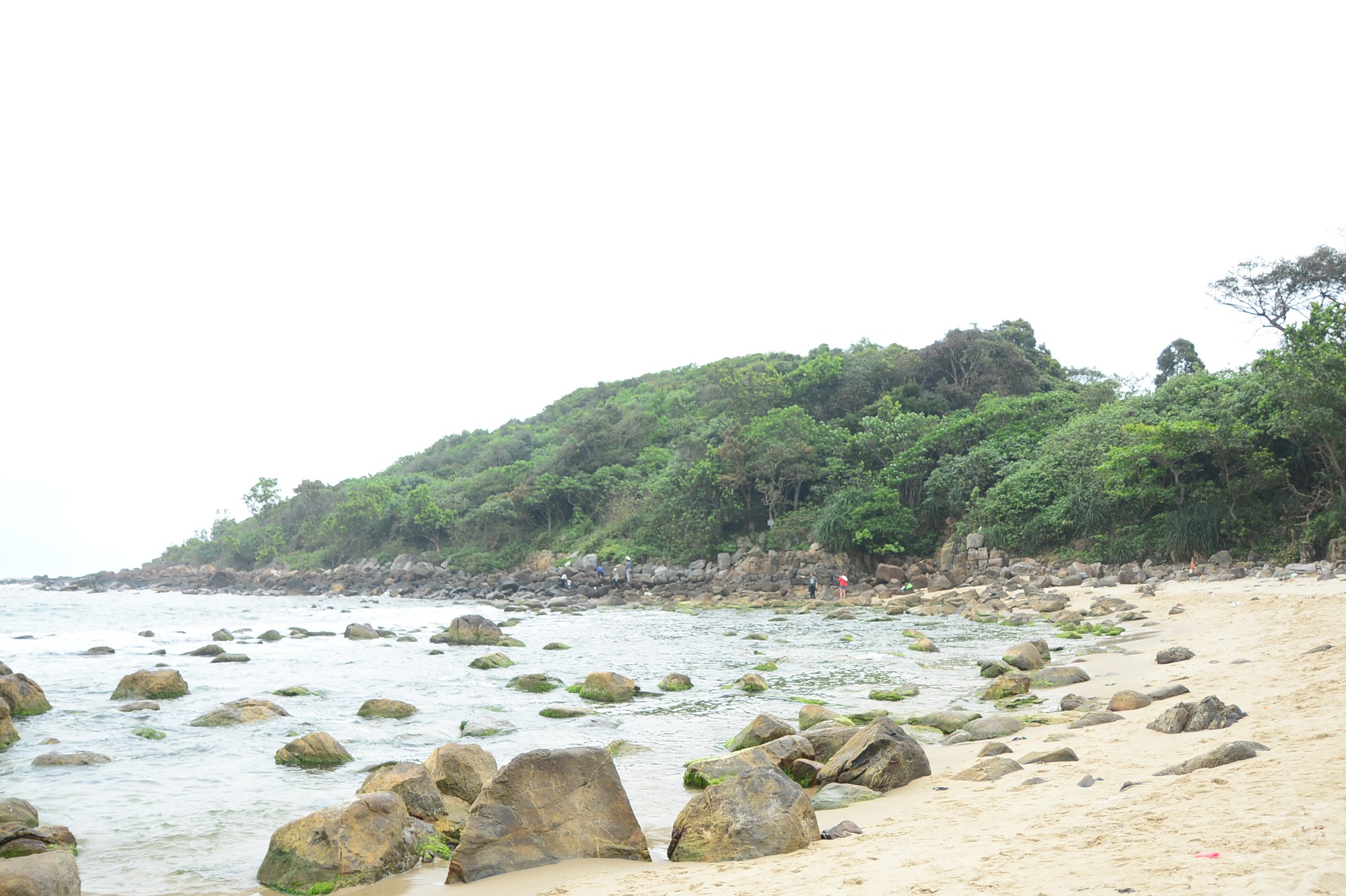 DSC_7596 DSC_7596