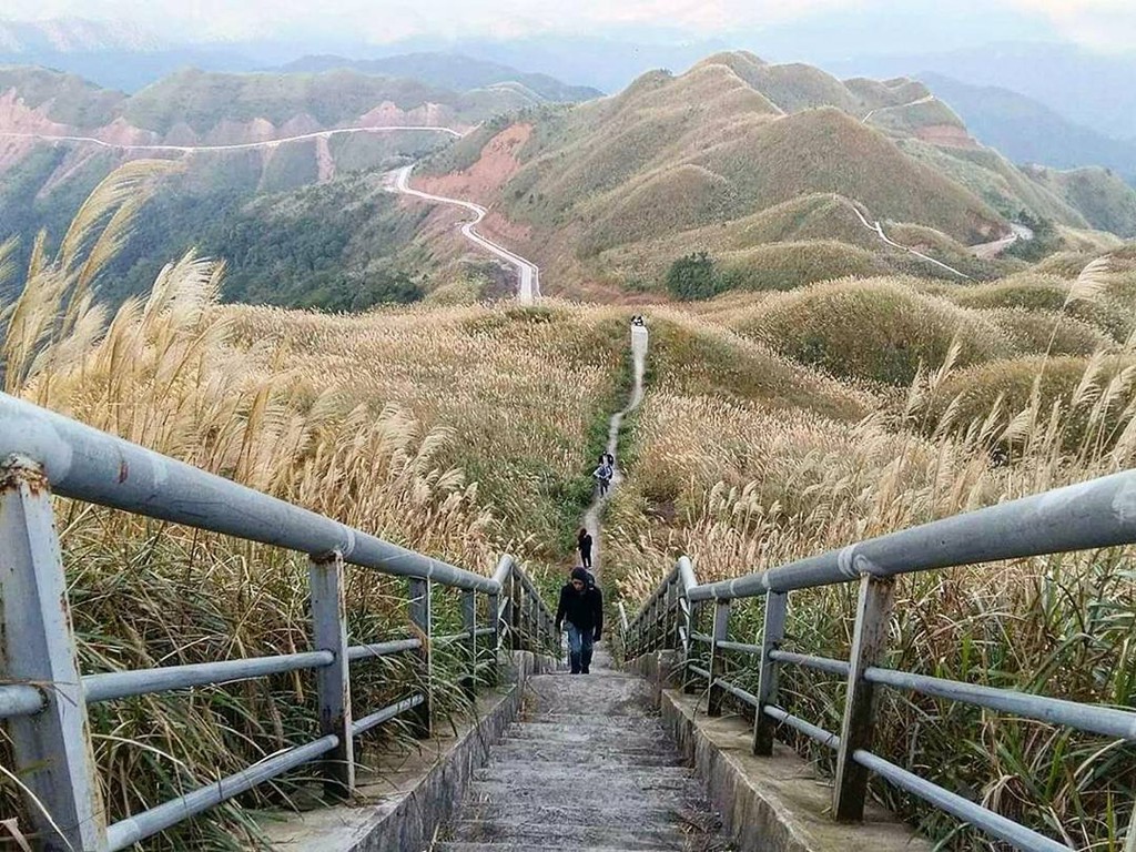 Tháng 10 check-in cùng đồng lau đẹp mơ màng ở Quảng Ninh - Ảnh 2.
