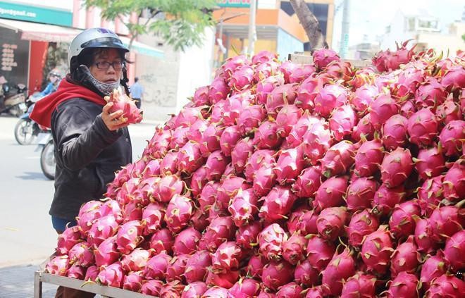 Trung Quốc không mua, dưa hấu, thanh long rớt giá còn 6.000 đồng/kg - Ảnh 1. Trung Quốc không mua, dưa hấu, thanh long rớt giá còn 6.000 đồng/kg - Ảnh 1.