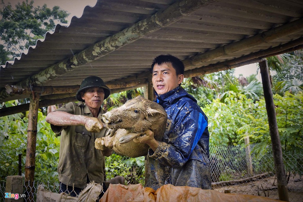 Người dân ôm lợn, lái máy cày 'chạy lũ' - Ảnh 15.