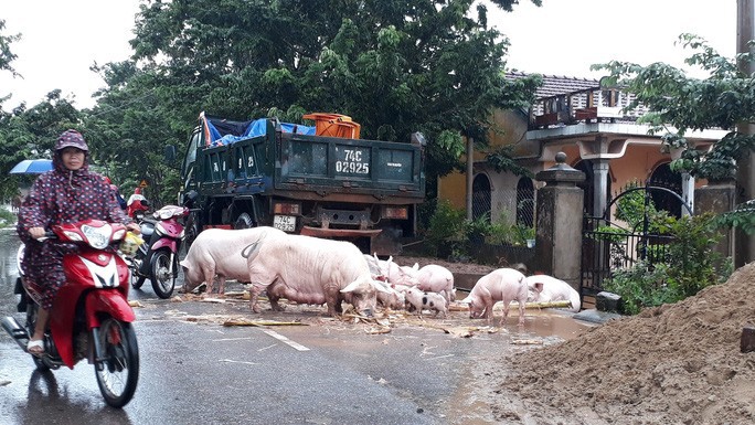Cận cảnh hàng trăm nhà dân Quảng Trị ngập chìm trong nước - Ảnh 6. Cận cảnh hàng trăm nhà dân Quảng Trị ngập chìm trong nước - Ảnh 6.