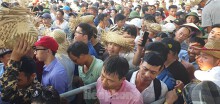 Vạn người chen lấn, xô đẩy xem chọi trâu Đồ Sơn