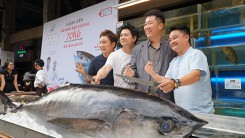 Hàng trăm du khách hiếu kỳ xem mổ cá ngừ 70 kg ở phố đi bộ Bùi Viện