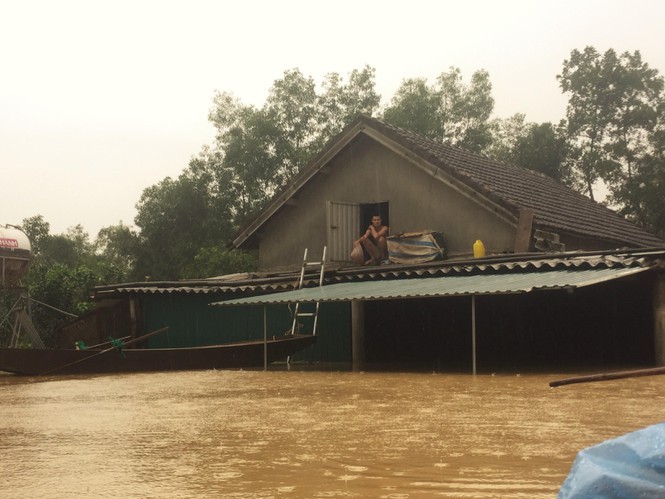 Mưa lũ khiến 5 người chết, người trồng bưởi đặc sản lo tổn thất trăm bề - Ảnh 1. Mưa lũ khiến 5 người chết, người trồng bưởi đặc sản lo tổn thất trăm bề - Ảnh 1.