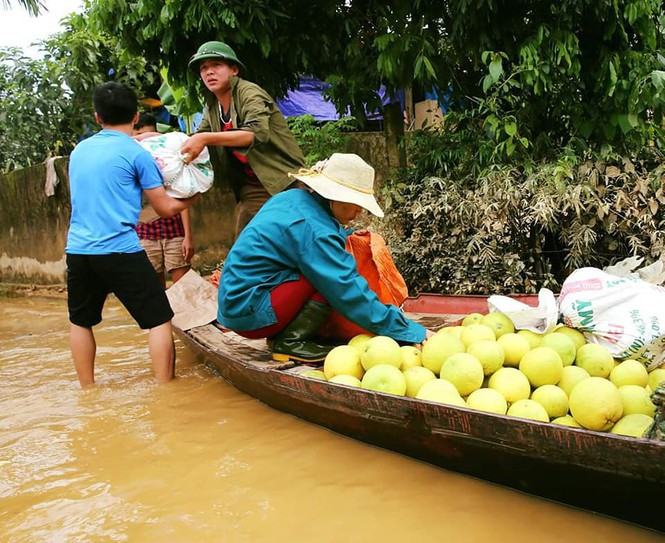 Mưa lũ khiến 5 người chết, người trồng bưởi đặc sản lo tổn thất trăm bề - Ảnh 10. Mưa lũ khiến 5 người chết, người trồng bưởi đặc sản lo tổn thất trăm bề - Ảnh 10.