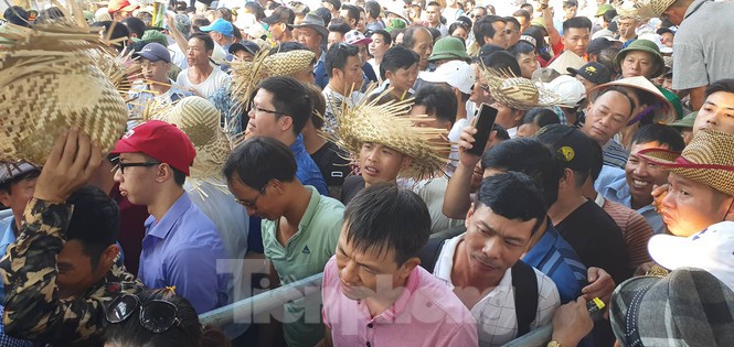 Vạn người chen lấn, xô đẩy xem chọi trâu Đồ Sơn - Ảnh 2. Vạn người chen lấn, xô đẩy xem chọi trâu Đồ Sơn - Ảnh 2.