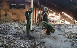 Cận cảnh lực lượng quốc phòng lấy 25 mẫu xét nghiệm ở Rạng Đông sau vụ cháy