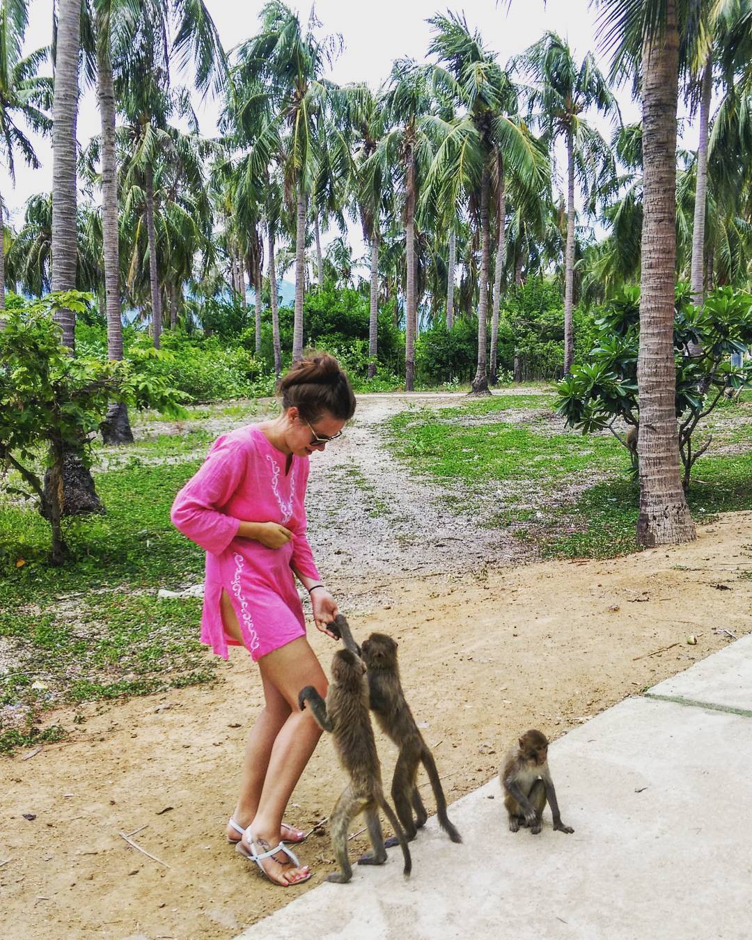 So sánh tour du lịch TP HCM – Nha Trang 3 ngày 2 đêm - Ảnh 9. So sánh tour du lịch TP HCM – Nha Trang 3 ngày 2 đêm - Ảnh 9.