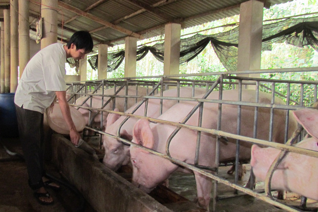 Giá thịt lợn cứ cao quá, người tiêu dùng quay lưng không ăn nữa - Ảnh 2. Giá thịt lợn cứ cao quá, người tiêu dùng quay lưng không ăn nữa - Ảnh 2.