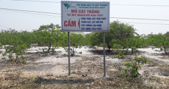 Thừa Thiên Huế thu hồi nhiều dự án thuộc danh mục 'giám sát đặc biệt'