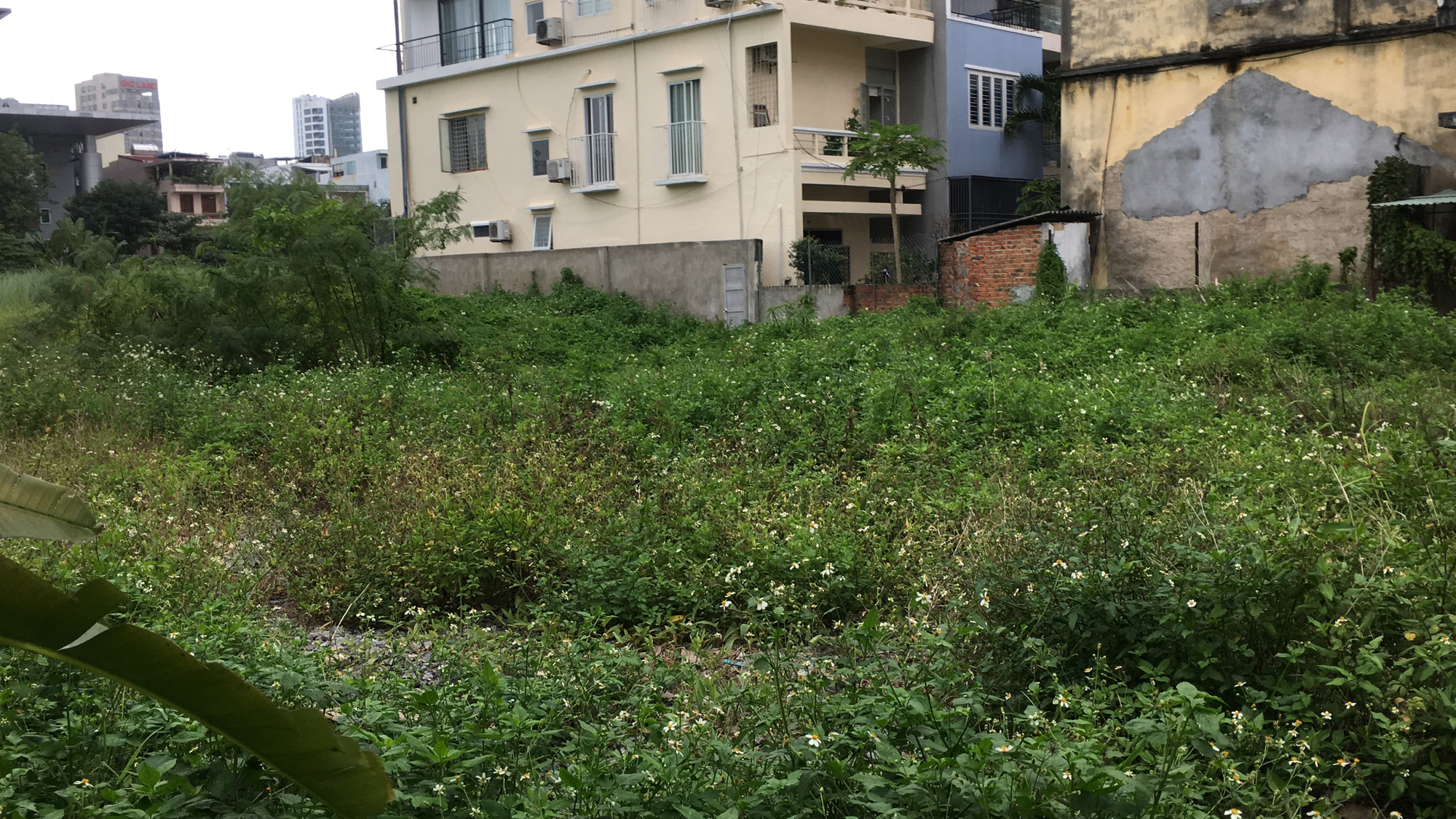 Hai khu đất làm vườn dạo, bãi đỗ xe ngầm trung tâm Đà Nẵng bao giờ 'khởi động'? - Ảnh 6.