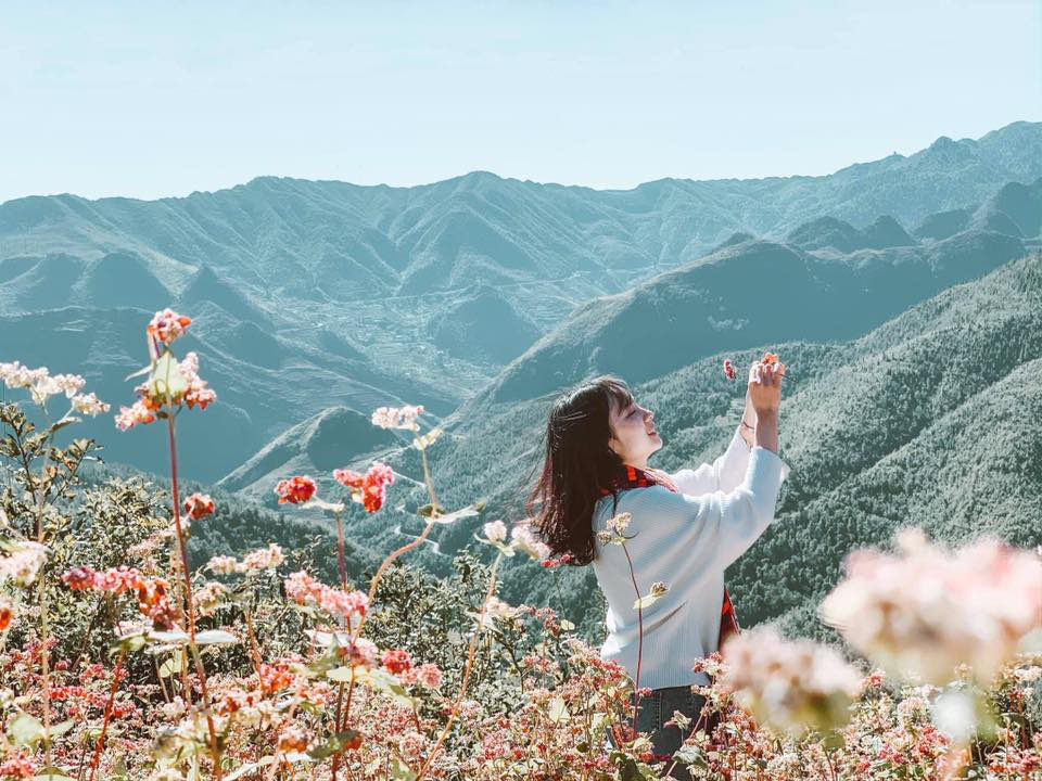So sánh tour du lịch Tết Hà Nội - Hà Giang 3 ngày 2 đêm: Giá dưới 3 triệu đồng du khách nên chọn tour nào? - Ảnh 1. So sánh tour du lịch Tết Hà Nội - Hà Giang 3 ngày 2 đêm: Giá dưới 3 triệu đồng du khách nên chọn tour nào? - Ảnh 1.
