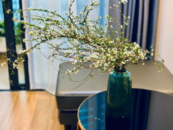 Sốt với hoa cảnh nhập khẩu giá rẻ từ Trung Quốc - Ảnh 3.