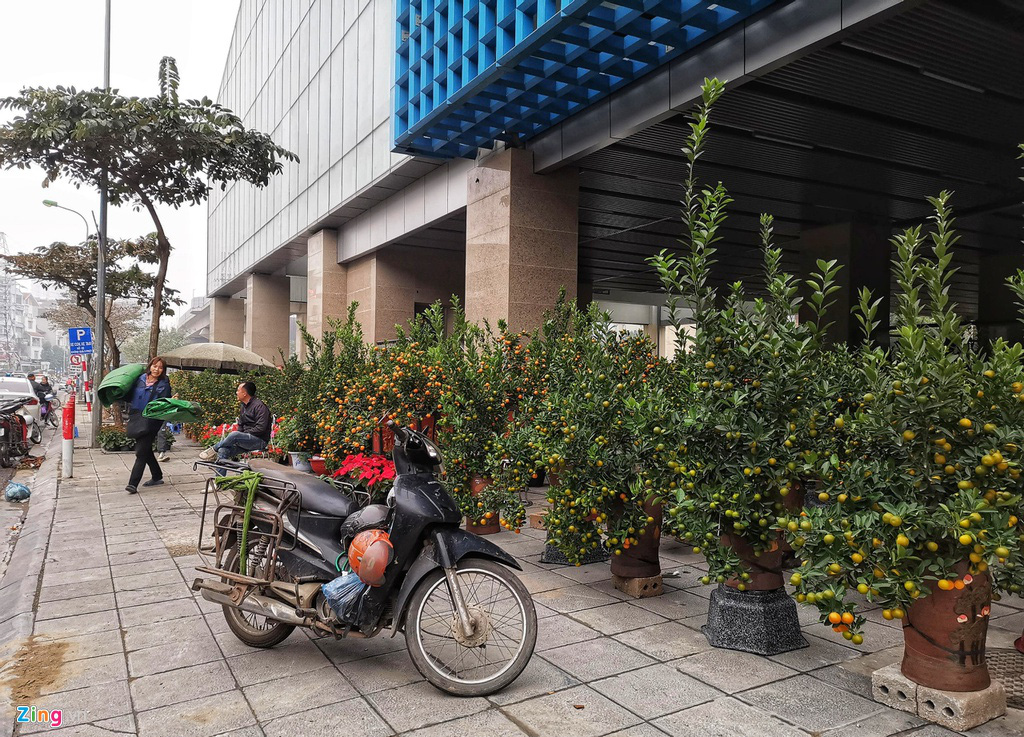 Đường sắt Cát Linh chưa hoạt động, nha ga thành chợ cây cảnh Tết - Ảnh 2. Đường sắt Cát Linh chưa hoạt động, nha ga thành chợ cây cảnh Tết - Ảnh 2.