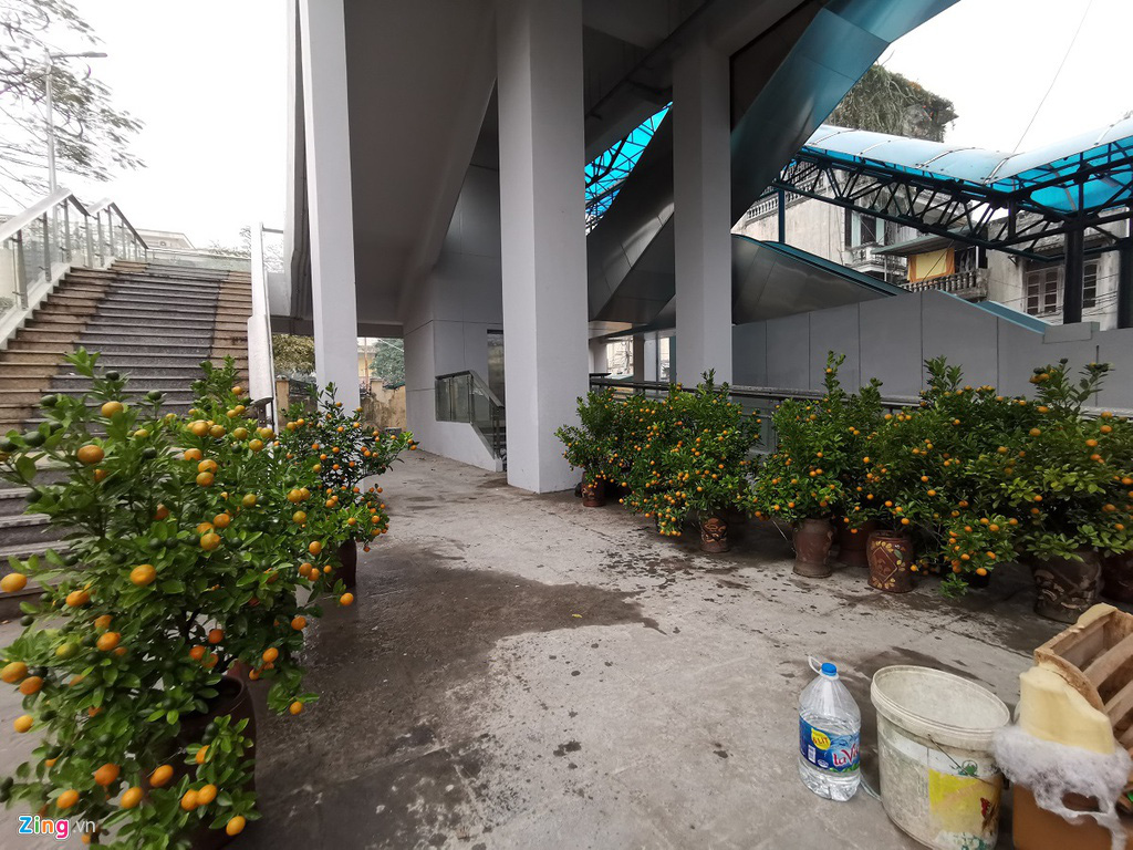 Đường sắt Cát Linh chưa hoạt động, nha ga thành chợ cây cảnh Tết - Ảnh 8. Đường sắt Cát Linh chưa hoạt động, nha ga thành chợ cây cảnh Tết - Ảnh 8.