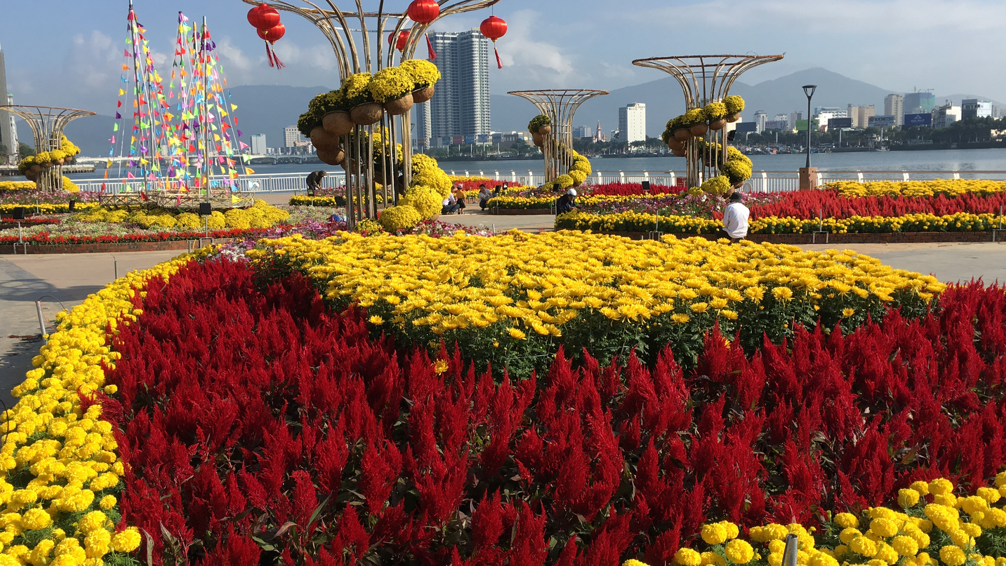 Hối hả thi công đường hoa Đà Nẵng để người dân tham quan, chơi Tết Canh Tý 2020 - Ảnh 3. Hối hả thi công đường hoa Đà Nẵng để người dân tham quan, chơi Tết Canh Tý 2020 - Ảnh 3.
