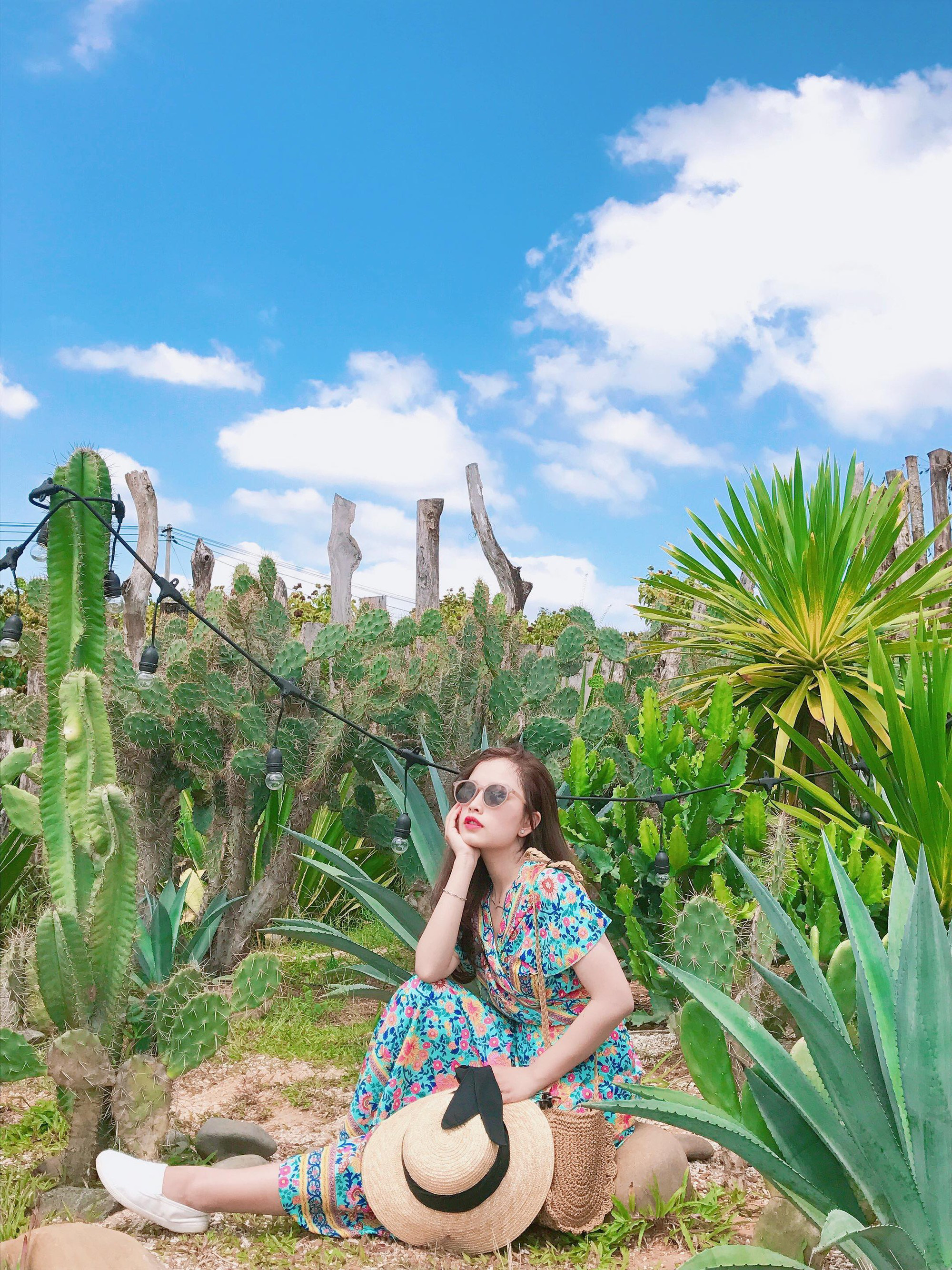So sánh tour du lịch Tết TP HCM – Buôn Ma Thuột 3 ngày 2 đêm - Ảnh 1. So sánh tour du lịch Tết TP HCM – Buôn Ma Thuột 3 ngày 2 đêm - Ảnh 1.