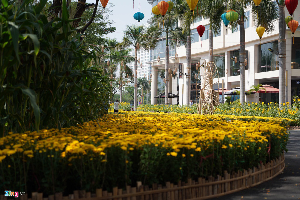 Những hình ảnh đầu tiên của đường hoa Phú Mỹ Hưng - Ảnh 5. Những hình ảnh đầu tiên của đường hoa Phú Mỹ Hưng - Ảnh 5.