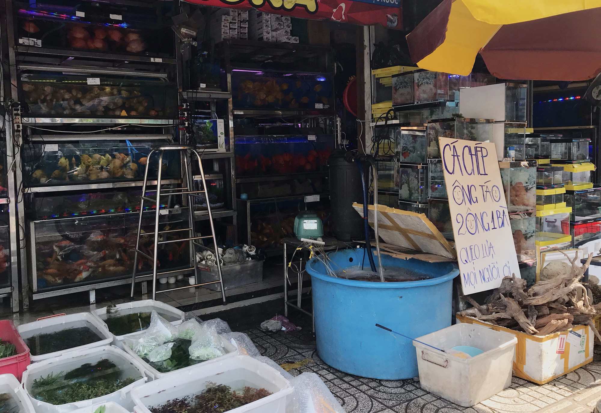 Người Sài Gòn tranh thủ sắm đồ cúng ông Công, ông Táo: Vàng mã hốt bạc, cá chép đìu hiu - Ảnh 13.