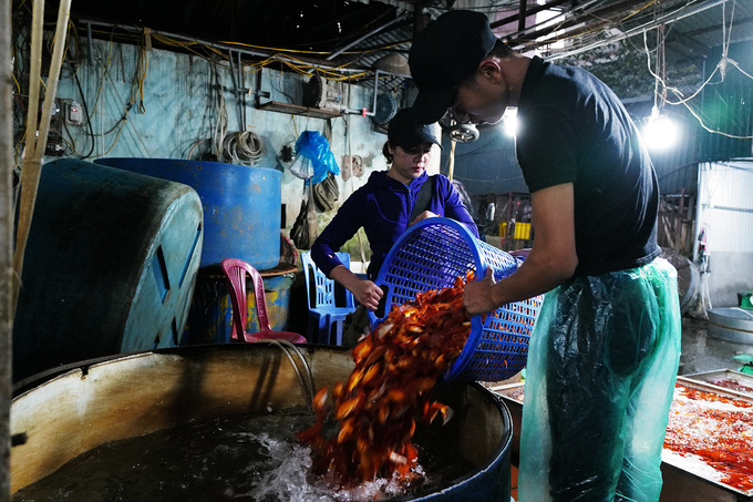Chợ đầu mối xuyên đêm bán cá chép đỏ - Ảnh 3.