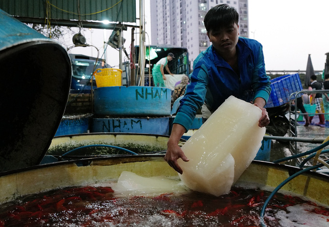 Chợ đầu mối xuyên đêm bán cá chép đỏ - Ảnh 4.