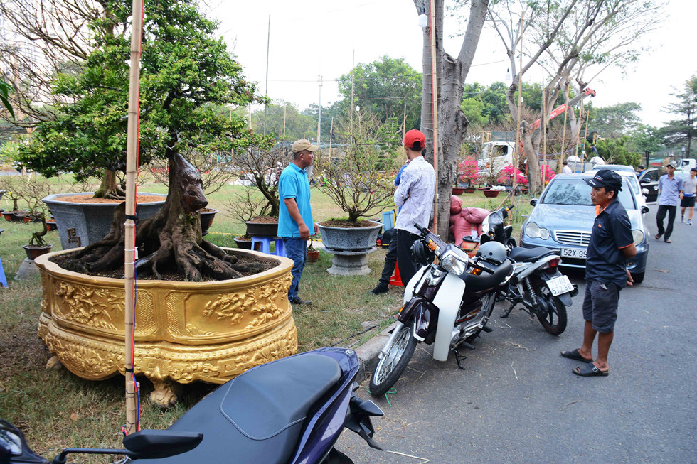 Khế, lê ki ma 'mọc' thêm đầu chuột: Chủ rao bán hơn nửa tỉ để chưng Tết - Ảnh 1.