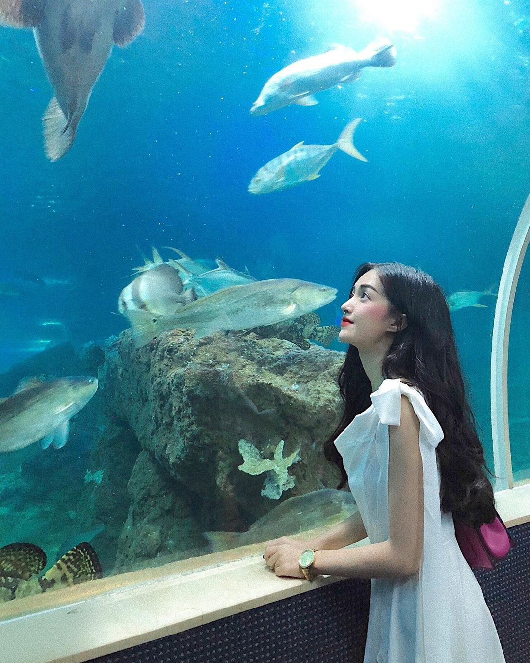 So sánh tour du lịch Tết TP HCM - Phú Quốc 3 ngày 2 đêm - Ảnh 5.