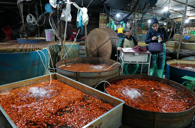 Chợ đầu mối xuyên đêm bán cá chép đỏ - Ảnh 5.
