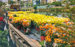 Hoa miền Tây cập bến Bình Đông, chợ hoa trên bến dưới thuyền tại Sài Gòn bắt đầu nhộn nhịp