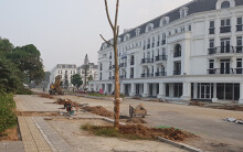 Kết quả thanh tra các dự án của Lã Vọng: Phó Thủ tướng Trương Hoà Bình yêu cầu xử lí nghiêm những cá nhân có vi phạm