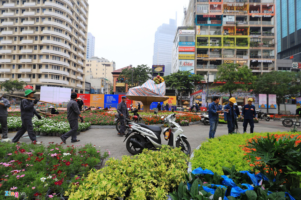 Đường hoa Nguyễn Huệ rực rỡ sắc màu trước giờ khai mạc - Ảnh 9. Đường hoa Nguyễn Huệ rực rỡ sắc màu trước giờ khai mạc - Ảnh 9.