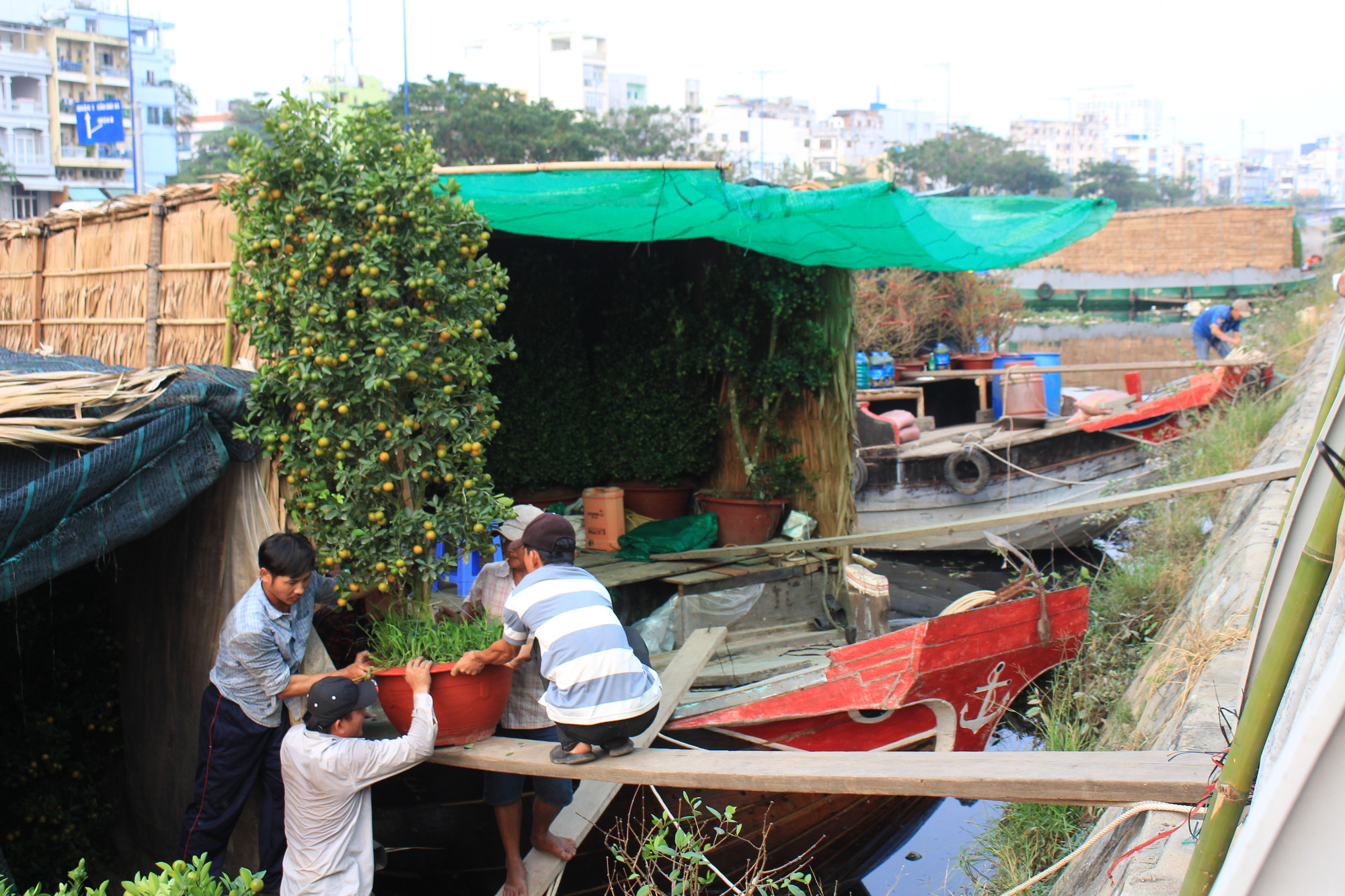 Nhà vườn miền Tây cập bến Bình Đông, chợ hoa trên bến dưới thuyền tại Sài Gòn bắt đầu nhộn nhịp - Ảnh 5. Nhà vườn miền Tây cập bến Bình Đông, chợ hoa trên bến dưới thuyền tại Sài Gòn bắt đầu nhộn nhịp - Ảnh 5.