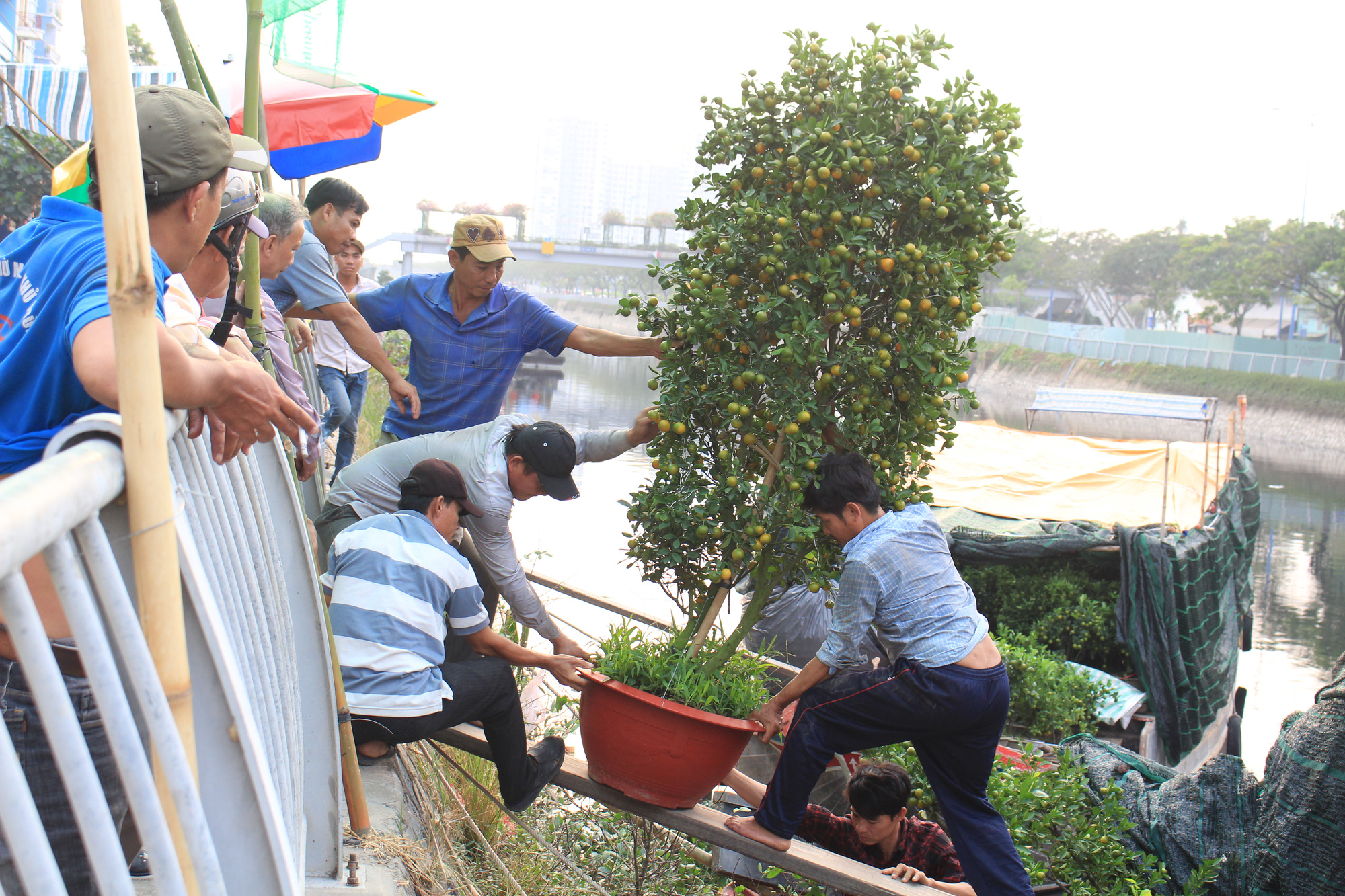 Nhà vườn miền Tây cập bến Bình Đông, chợ hoa trên bến dưới thuyền tại Sài Gòn bắt đầu nhộn nhịp - Ảnh 6. Nhà vườn miền Tây cập bến Bình Đông, chợ hoa trên bến dưới thuyền tại Sài Gòn bắt đầu nhộn nhịp - Ảnh 6.