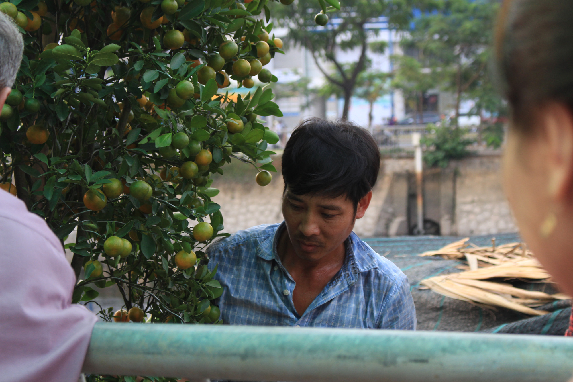 Nhà vườn miền Tây cập bến Bình Đông, chợ hoa trên bến dưới thuyền tại Sài Gòn bắt đầu nhộn nhịp - Ảnh 8. Nhà vườn miền Tây cập bến Bình Đông, chợ hoa trên bến dưới thuyền tại Sài Gòn bắt đầu nhộn nhịp - Ảnh 8.