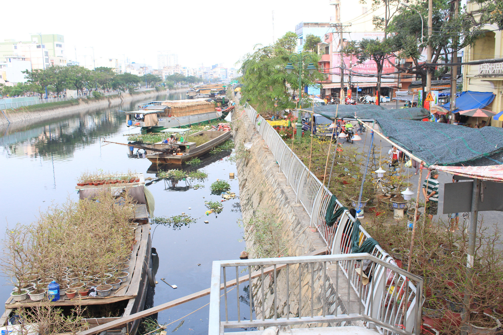 Nhà vườn miền Tây cập bến Bình Đông, chợ hoa trên bến dưới thuyền tại Sài Gòn bắt đầu nhộn nhịp - Ảnh 3. Nhà vườn miền Tây cập bến Bình Đông, chợ hoa trên bến dưới thuyền tại Sài Gòn bắt đầu nhộn nhịp - Ảnh 3.