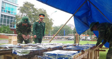 Nghệ An bắn pháo hoa ở 3 địa điểm trong đêm giao thừa