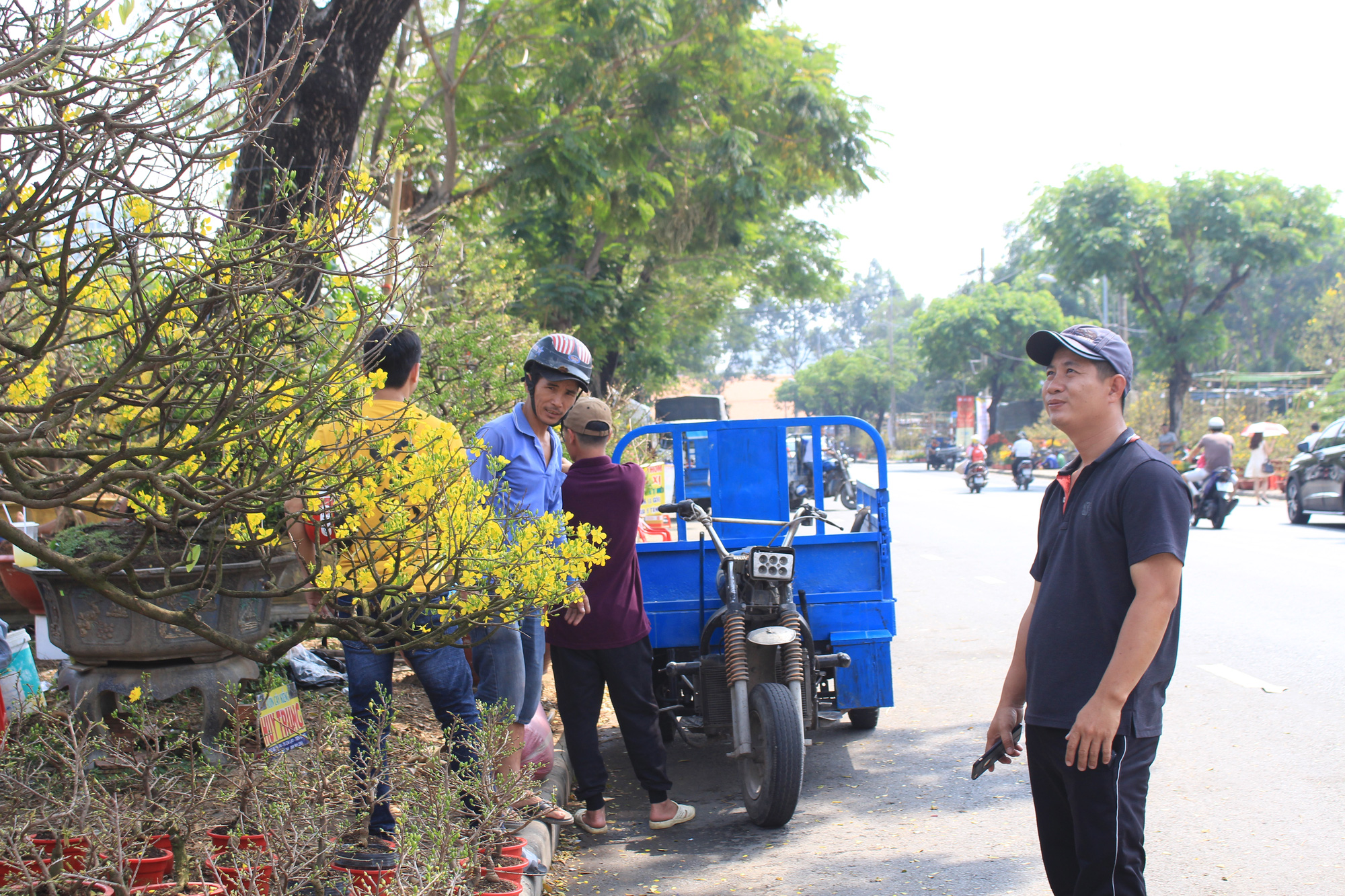 Cụ mai gần 100 tuổi, giá 1,2 tỉ, nhiều người muốn mua nhưng chưa bán ở chợ hoa xuân nhà giàu Sài Gòn - Ảnh 10. Cụ mai gần 100 tuổi, giá 1,2 tỉ, nhiều người muốn mua nhưng chưa bán ở chợ hoa xuân nhà giàu Sài Gòn - Ảnh 10.