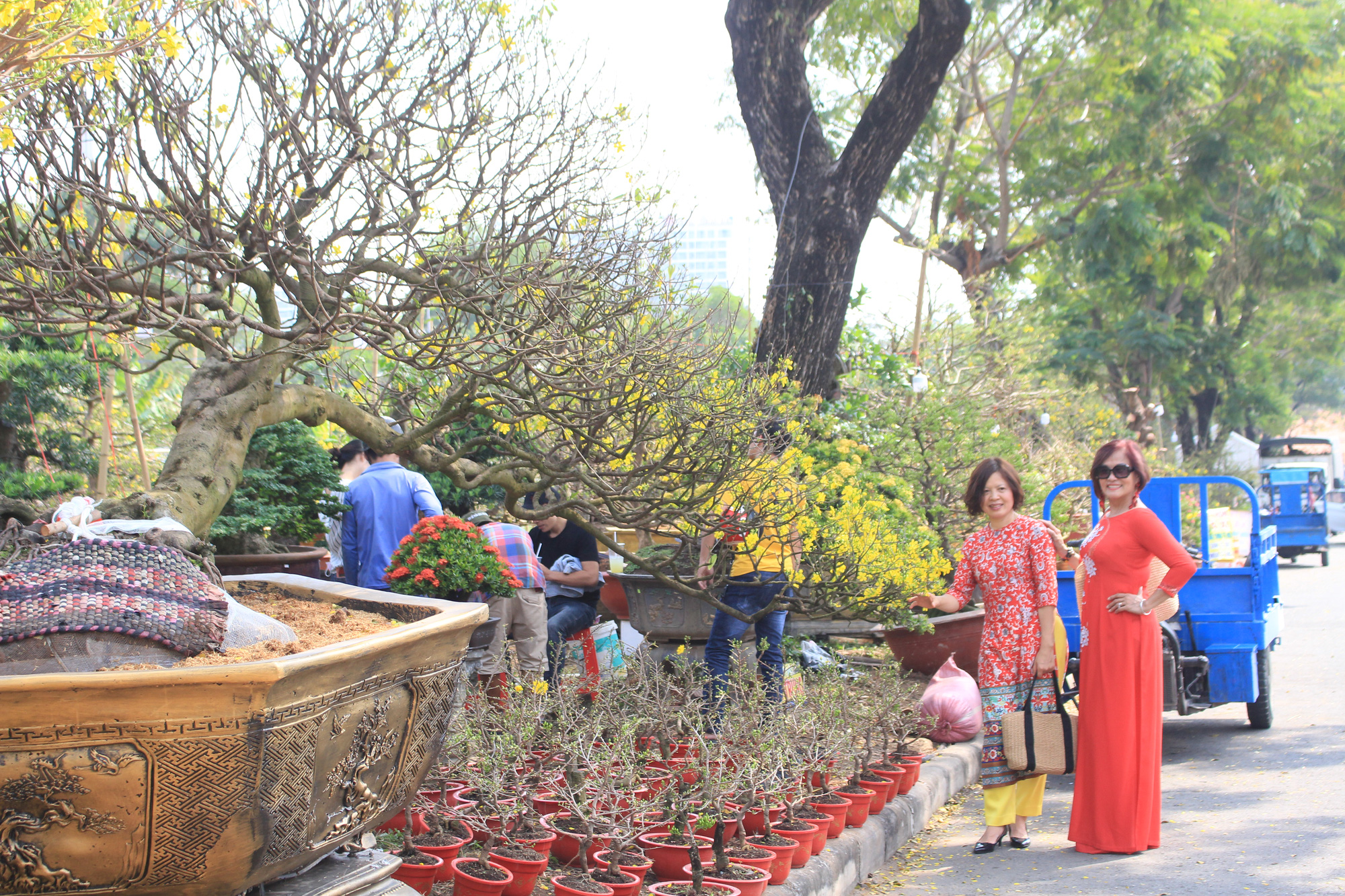 Cụ mai gần 100 tuổi, giá 1,2 tỉ, nhiều người muốn mua nhưng chưa bán ở chợ hoa xuân nhà giàu Sài Gòn - Ảnh 11. Cụ mai gần 100 tuổi, giá 1,2 tỉ, nhiều người muốn mua nhưng chưa bán ở chợ hoa xuân nhà giàu Sài Gòn - Ảnh 11.
