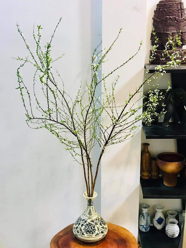 Phát sốt với tuyết mai được chị em săn lùng chơi Tết - Ảnh 2. Phát sốt với tuyết mai được chị em săn lùng chơi Tết - Ảnh 2.