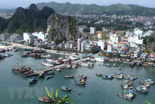 Năm 2020, giá đất Phú Quốc, Vân Đồn có xu hướng tăng