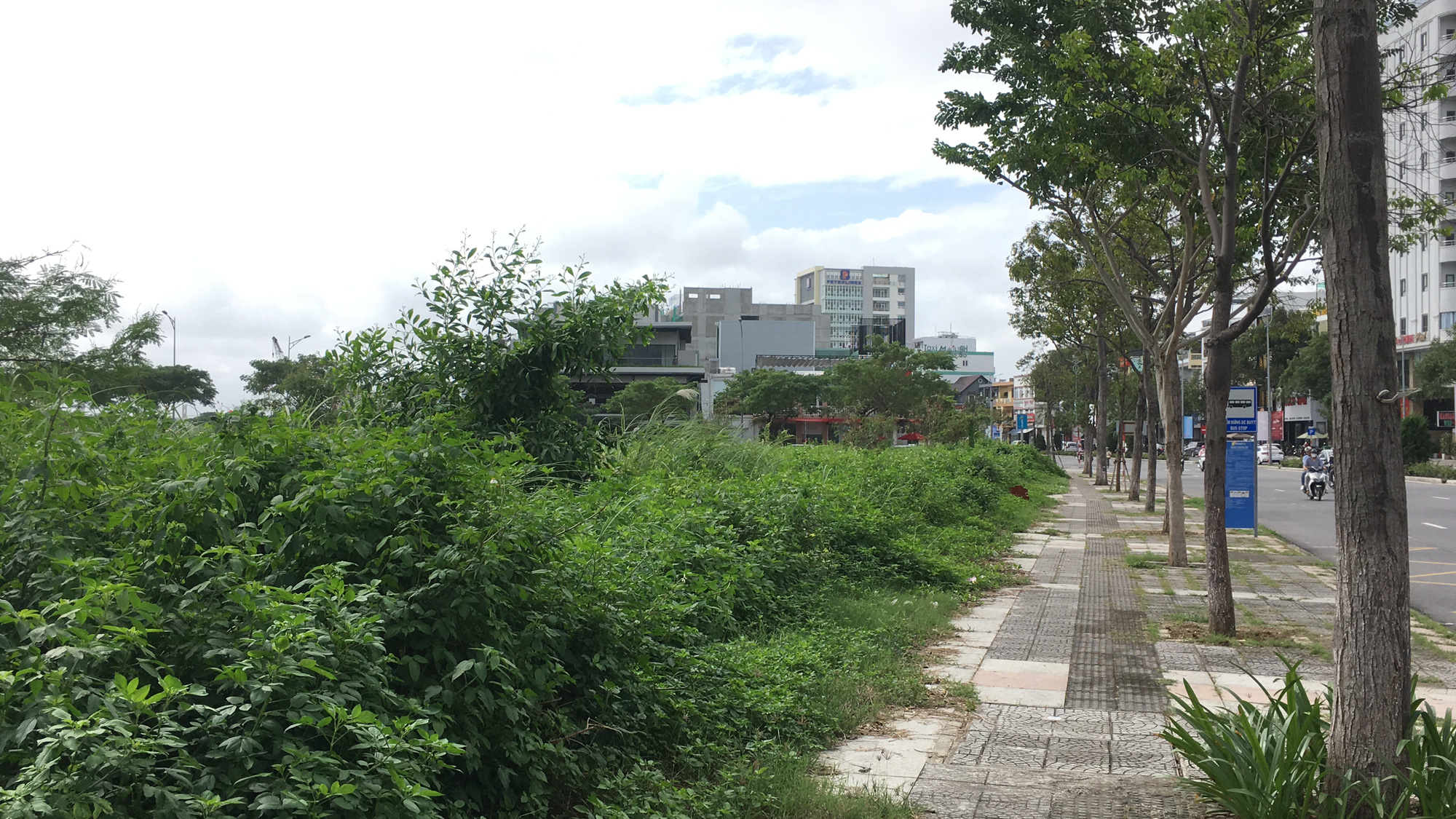 Cận cảnh 'đất vàng' Đà Nẵng làm công viên sách, mở rộng công viên APEC - Ảnh 8. Cận cảnh 'đất vàng' Đà Nẵng làm công viên sách, mở rộng công viên APEC - Ảnh 8.