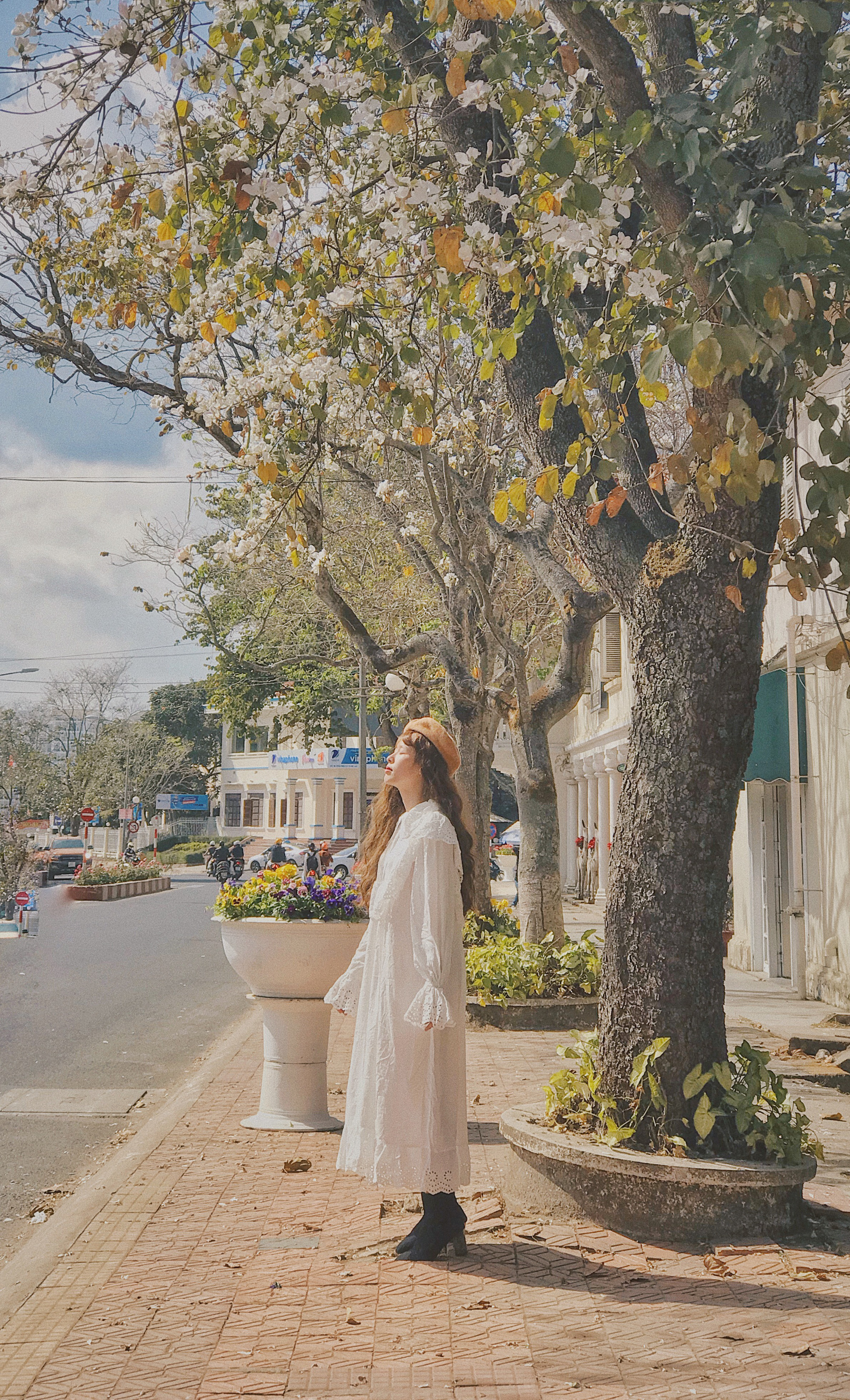 Hoa ban nhuộm trắng những góc phố Đà Lạt ngày cận Tết Nguyên đán - Ảnh 4. Hoa ban nhuộm trắng những góc phố Đà Lạt ngày cận Tết Nguyên đán - Ảnh 4.