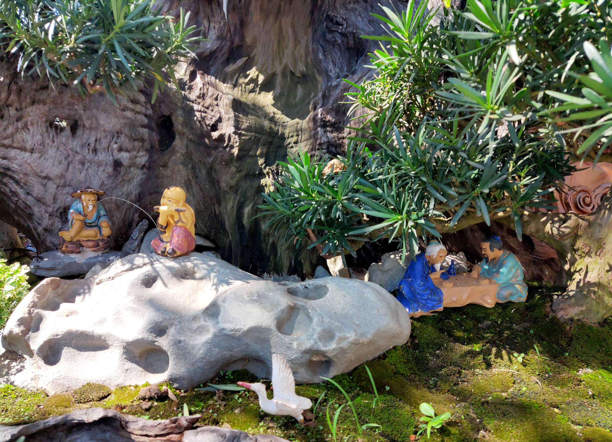 Nha Trang: Bonsai trên gỗ lũa giá trăm triệu xuống phố - Ảnh 5.